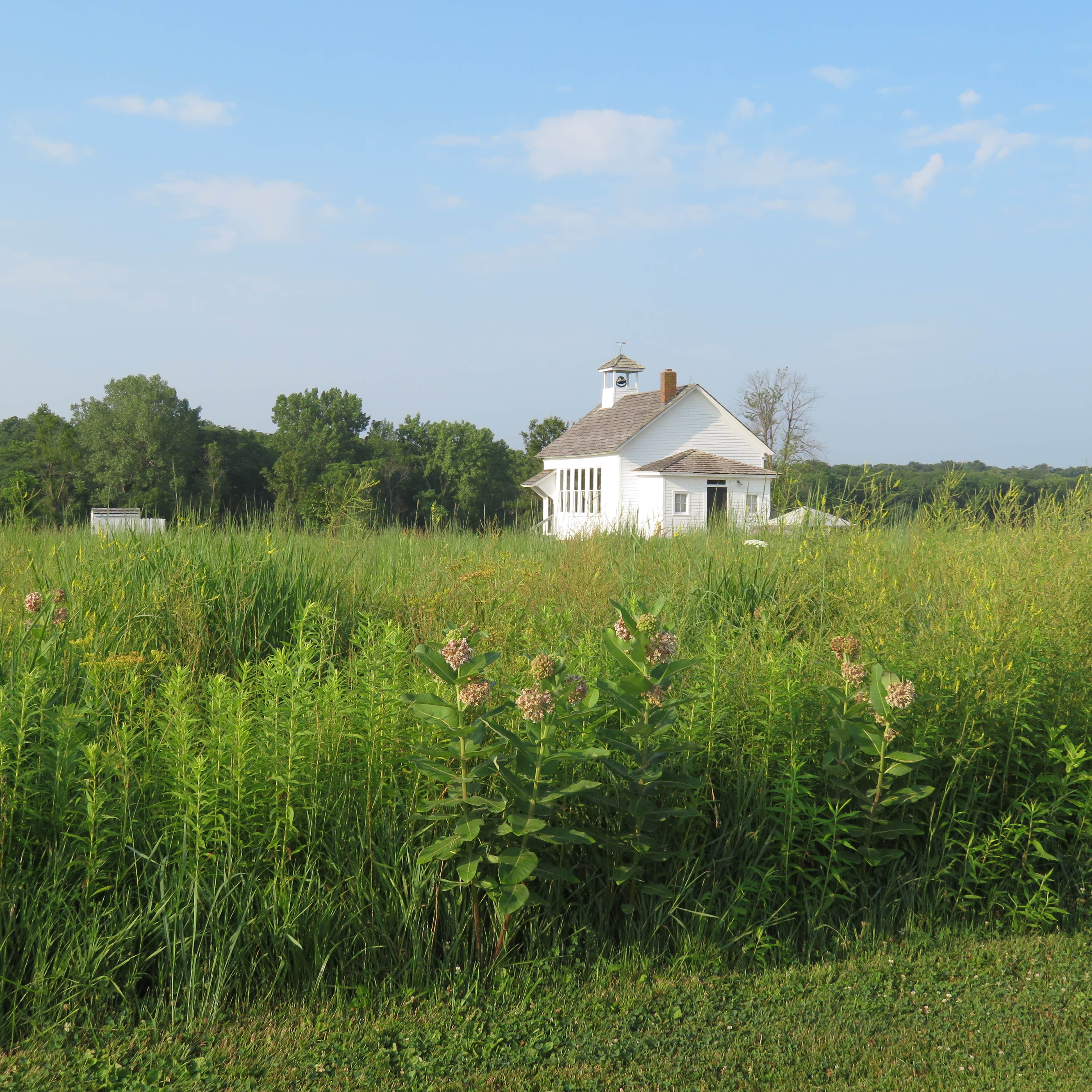 Camper submitted image from Friends Creek Conservation Area - 3