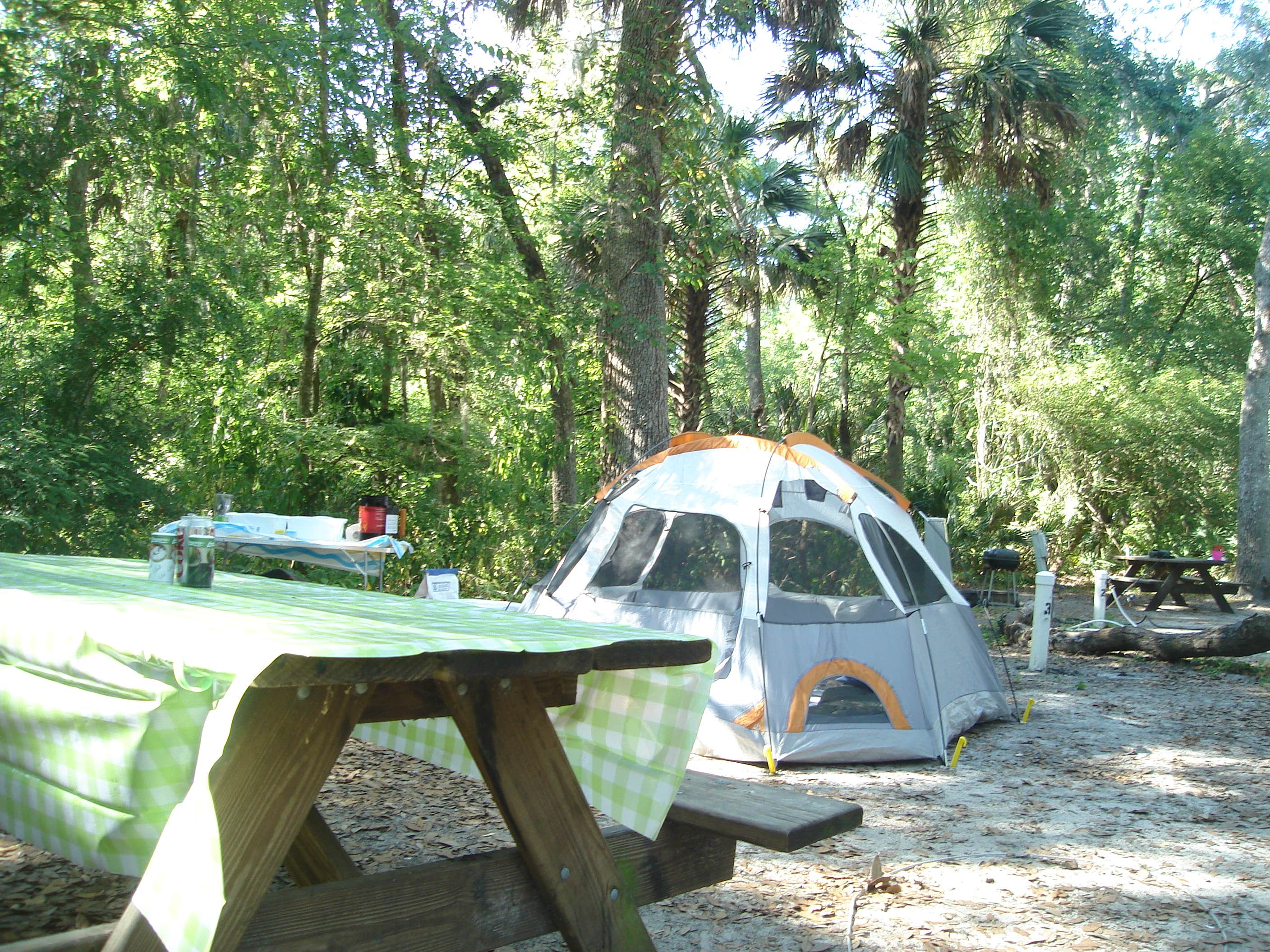 Jeanene A.'s photo of tent camping at Hillsborough River State Park Campground near Riverview, FL