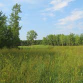 Review photo of Friends Creek Conservation Area by Kate O., July 21, 2020