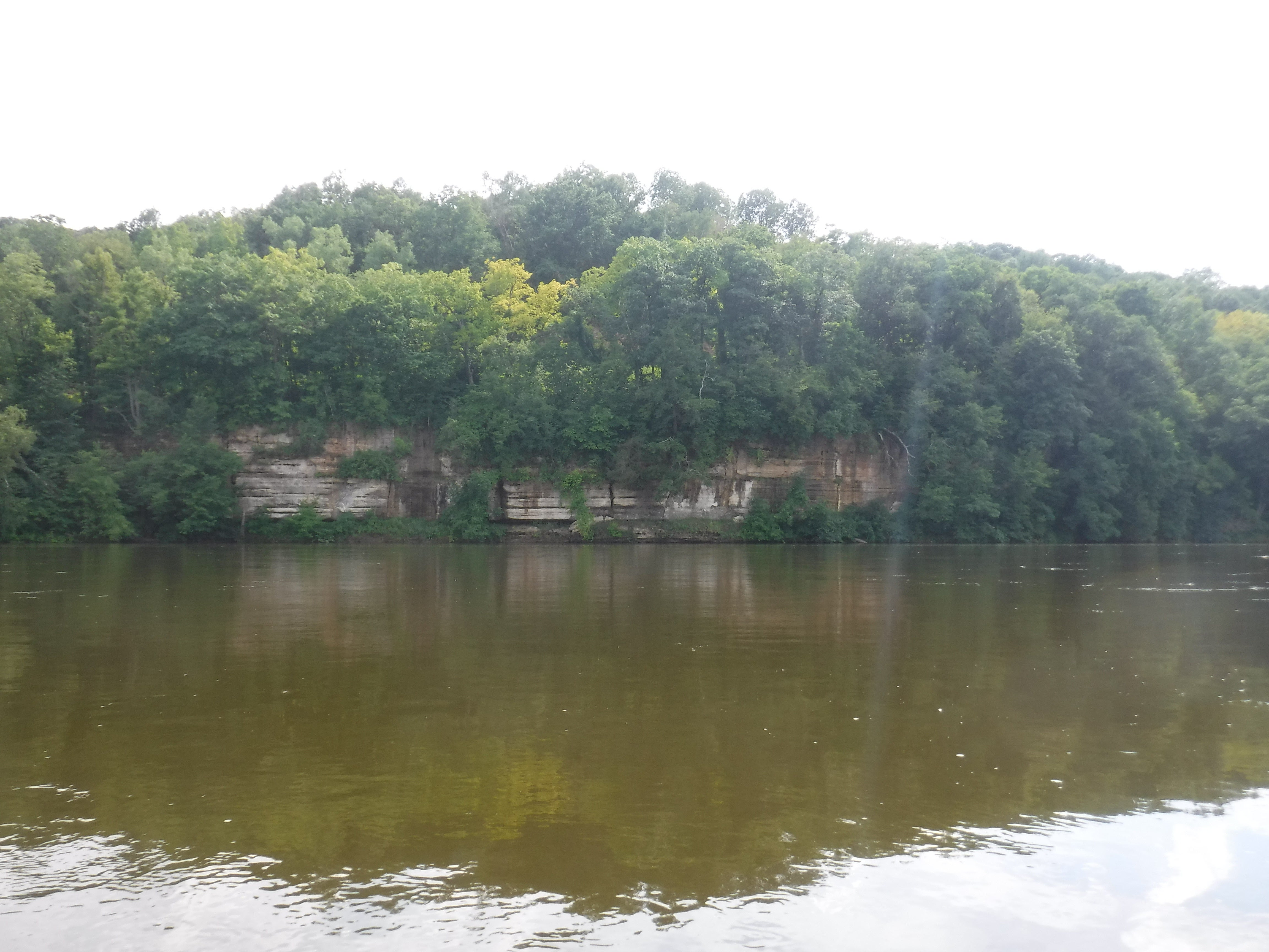 Camper submitted image from Lower Wisconsin Riverway - 3