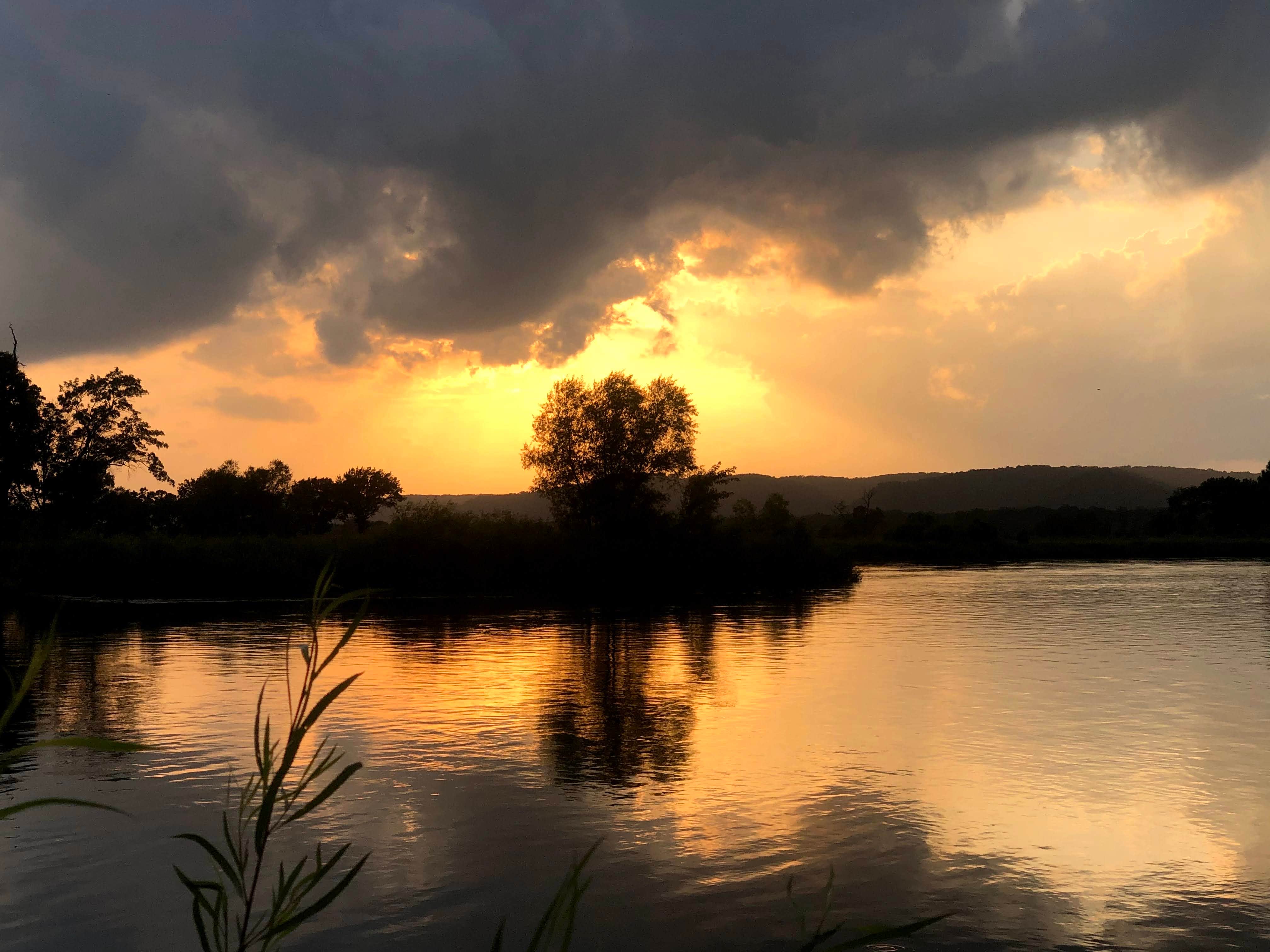 Siobhan R.'s photo of a dispersed camping area at Lower Wisconsin Riverway near Boscobel, WI