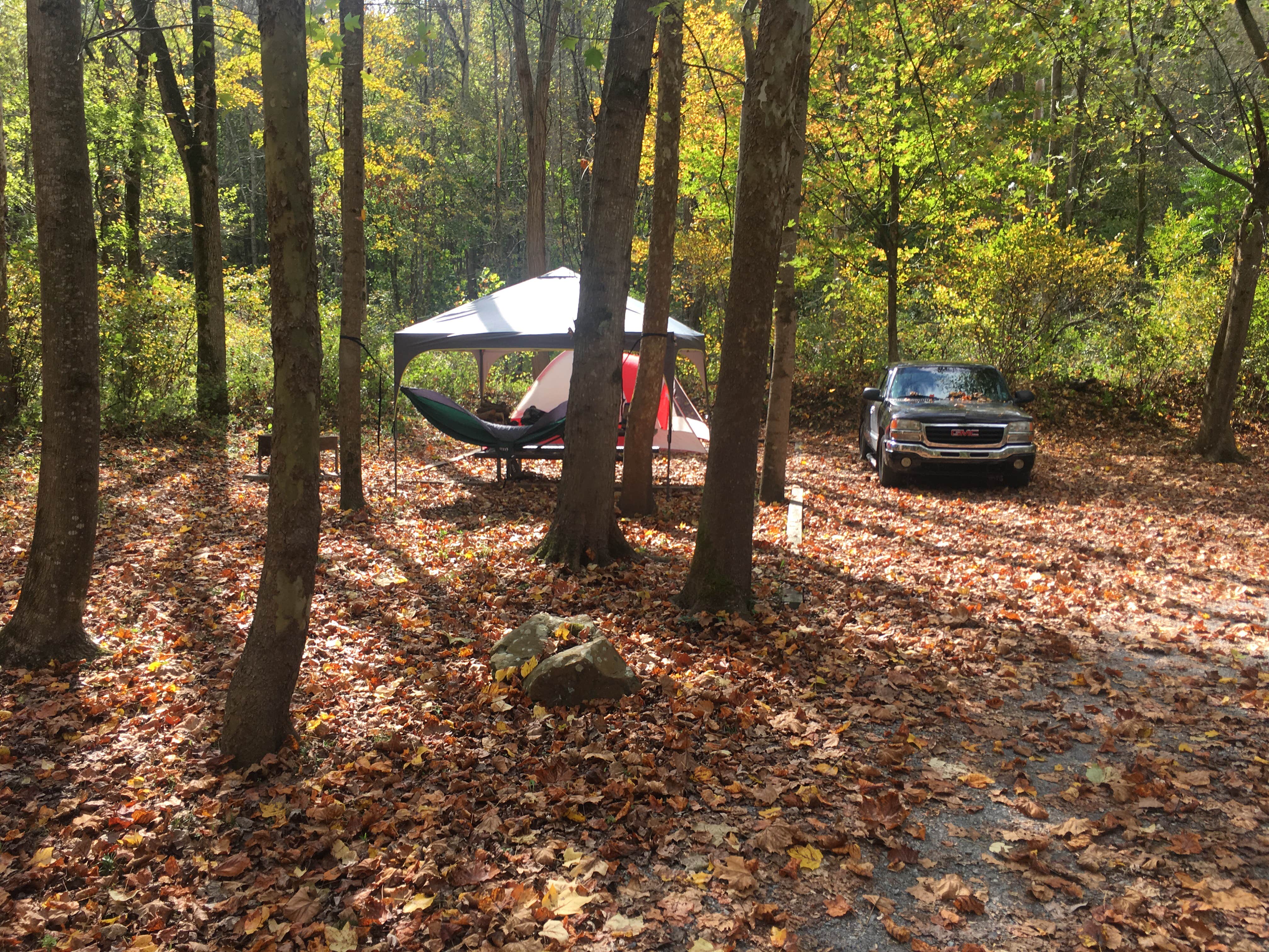 Camper-submitted photo at Grandview Sandbar Campground — New River Gorge National Park and Preserve near Fayetteville, WV