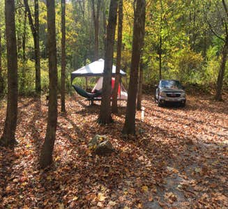 Camper-submitted photo from Grandview Sandbar Campground — New River Gorge National Park and Preserve