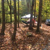 Review photo of Grandview Sandbar Campground — New River Gorge National Park and Preserve by Ben R., March 18, 2018