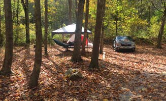 Ben R.'s photo at Grandview Sandbar Campground — New River Gorge National Park and Preserve near Danese, WV