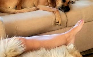 Joseph W.'s photo of camping with pets at Angel Peak Scenic View Campground near Nageezi, NM