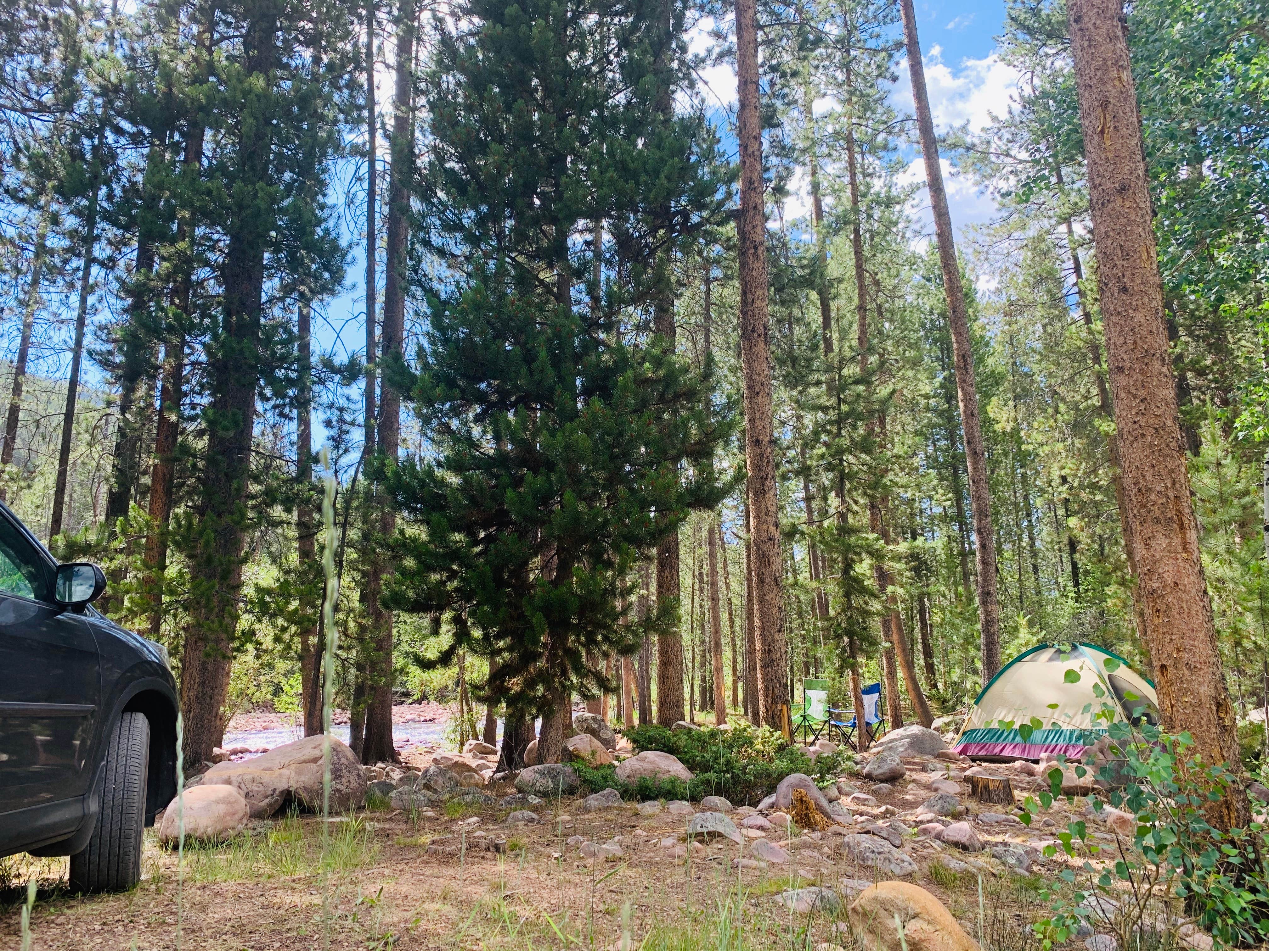 Camper submitted image from Ashley National Forest Riverview Campground - 2