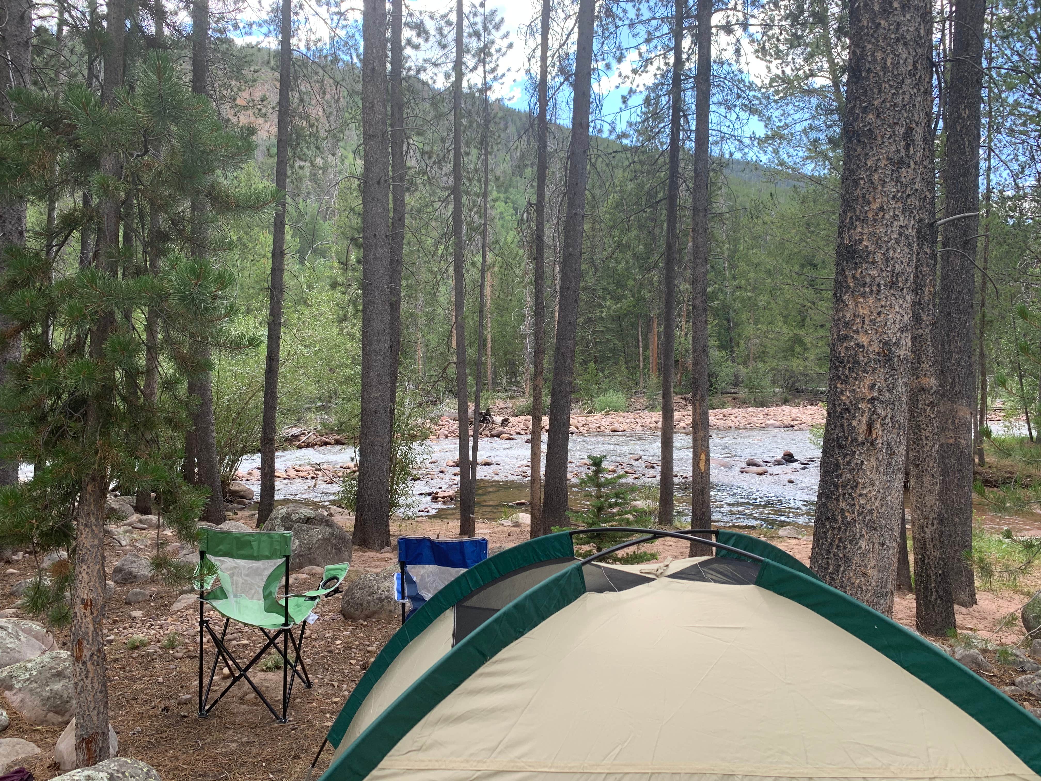Camper submitted image from Ashley National Forest Riverview Campground - 5