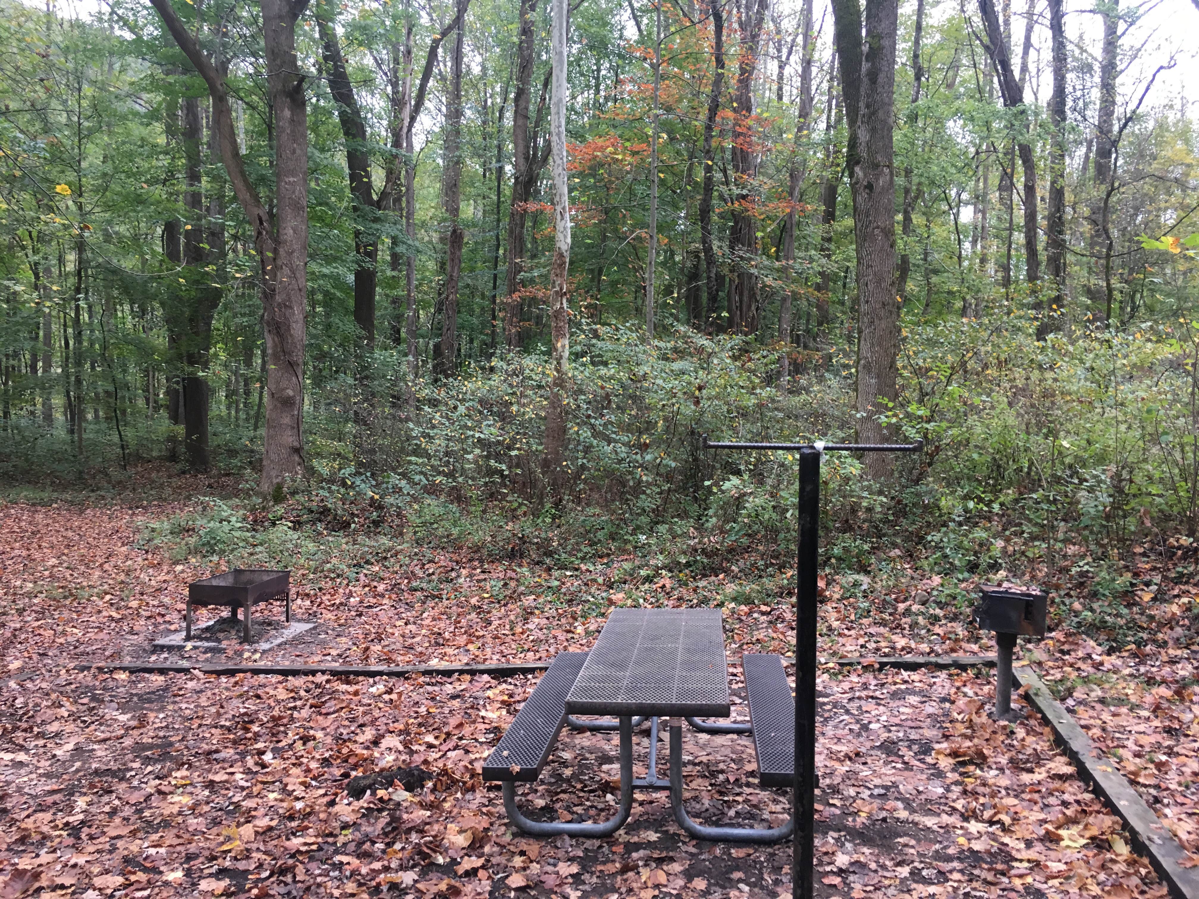 Camper-submitted photo at Grandview Sandbar Campground — New River Gorge National Park and Preserve near Fayetteville, WV