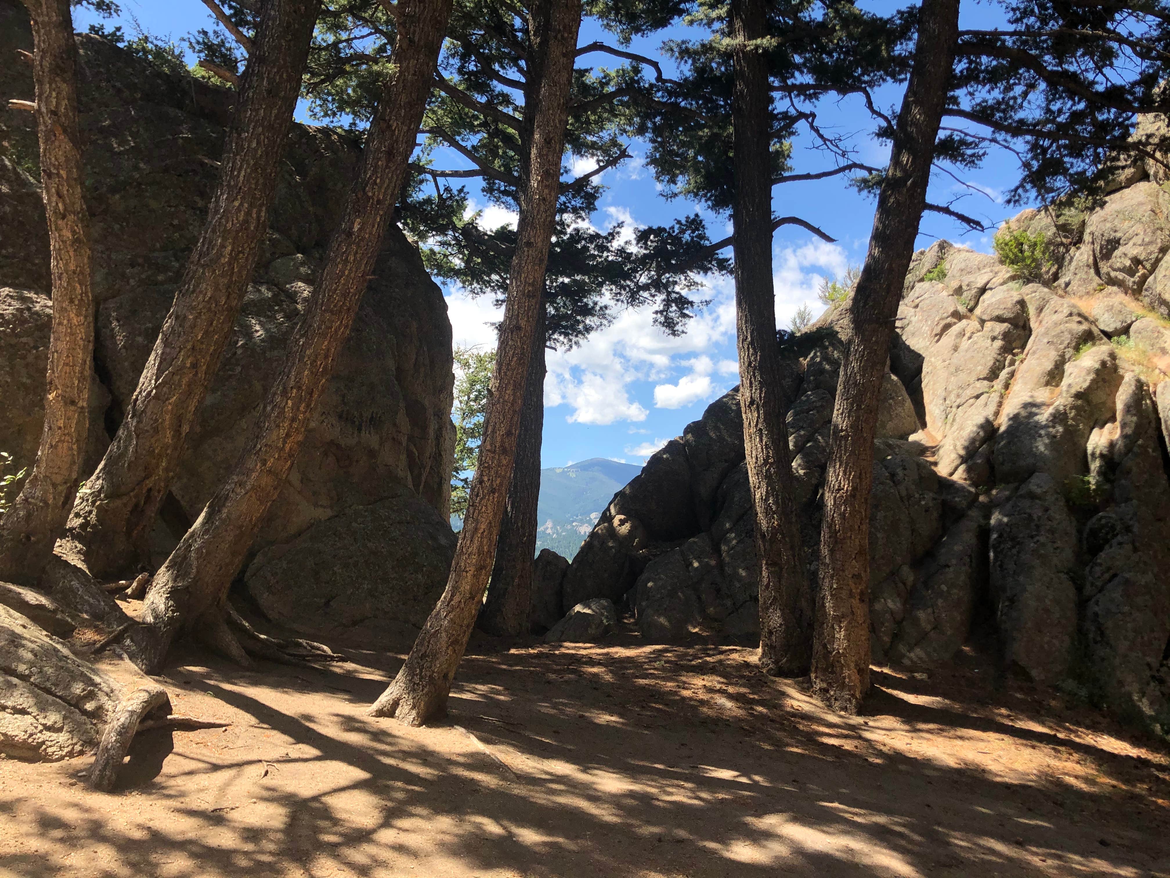 Camper-submitted photo at Revenue Flats near Ennis, MT