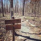 Review photo of Franklin D Roosevelt State Park Campground by Everette G., March 19, 2018