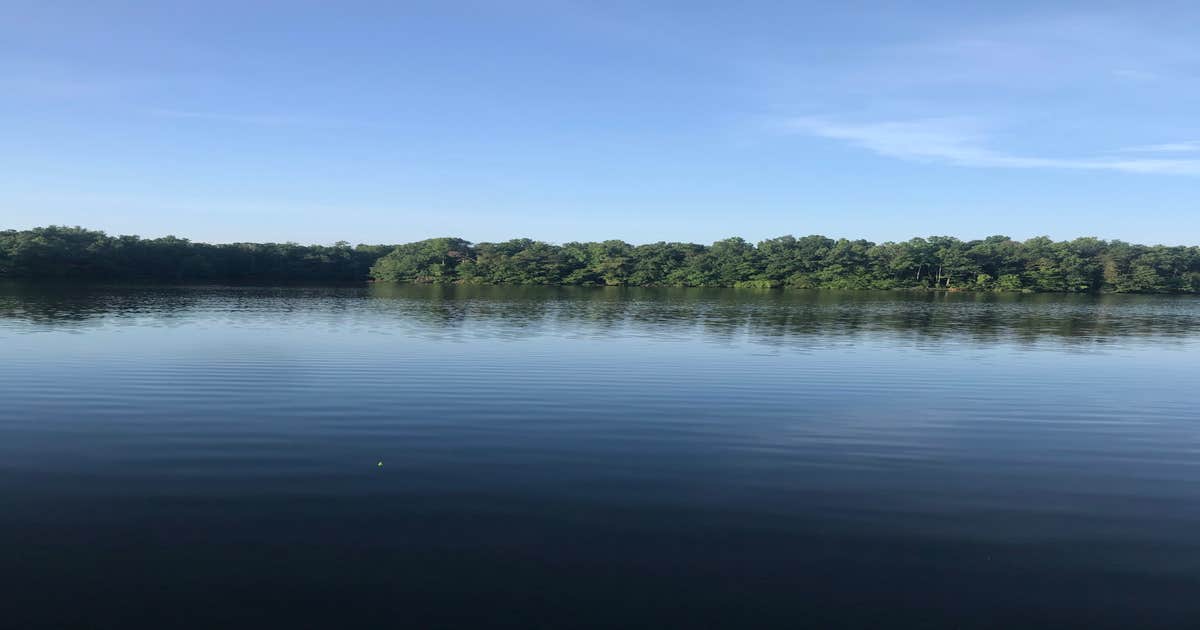 Lake Reidsville Recreation Park Camping | The Dyrt