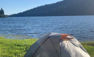 Ted-Kelli T.'s photo of tent camping at Brundage Reservoir Camping Area near Council, ID