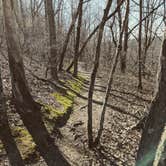 Review photo of Franklin D Roosevelt State Park Campground by Everette G., March 19, 2018