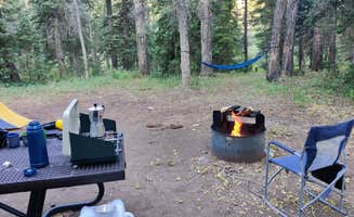 Joe J.'s photo at Big Cimarron near Grand Mesa, Uncompahgre, and Gunnison National Forests