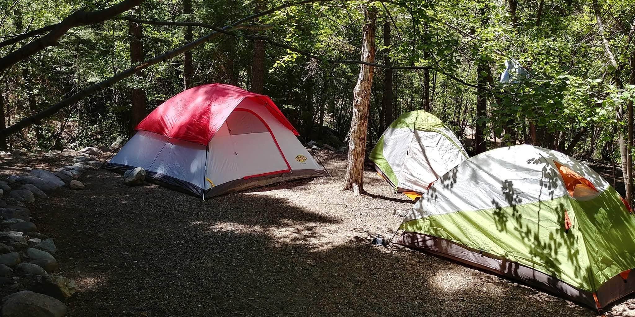Camper submitted image from North Crestone Creek Campground - 5