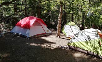 Melissa B.'s photo at North Crestone Creek Campground near Westcliffe, CO
