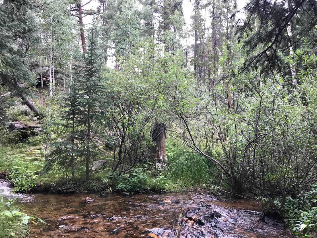 Deer Creek Campground The Dyrt