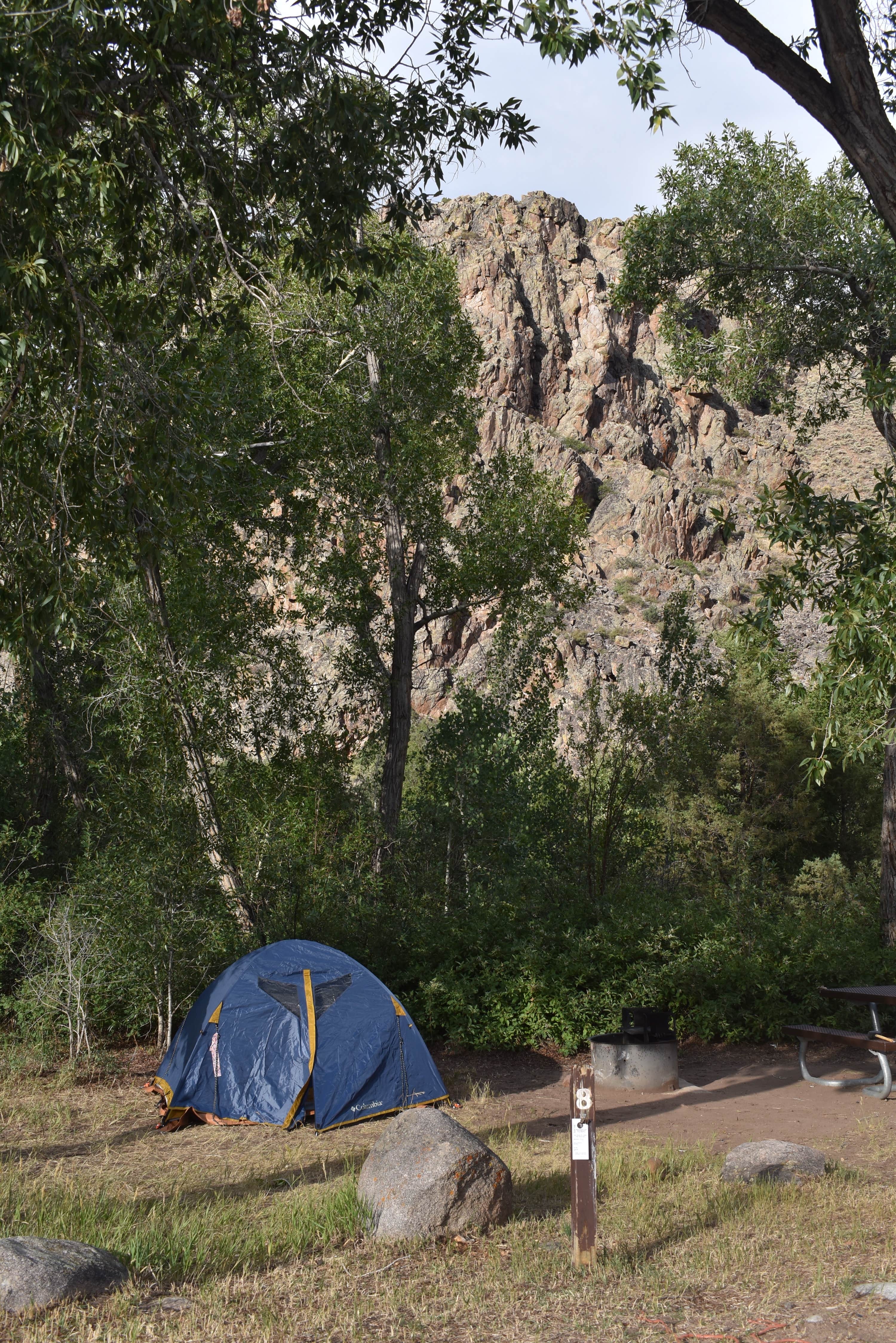 Amy S.'s photo at Almont Campground near Almont, CO