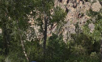 Amy S.'s photo at Almont Campground near Gunnison, CO