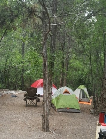 Camper submitted image from North Crestone Creek Campground - 4