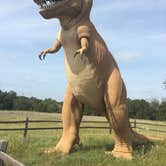 Review photo of Dinosaur Valley State Park — Dinosaur Valley State Park by Gari-Ann L., July 22, 2020