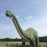 Review photo of Dinosaur Valley State Park — Dinosaur Valley State Park by Gari-Ann L., July 22, 2020