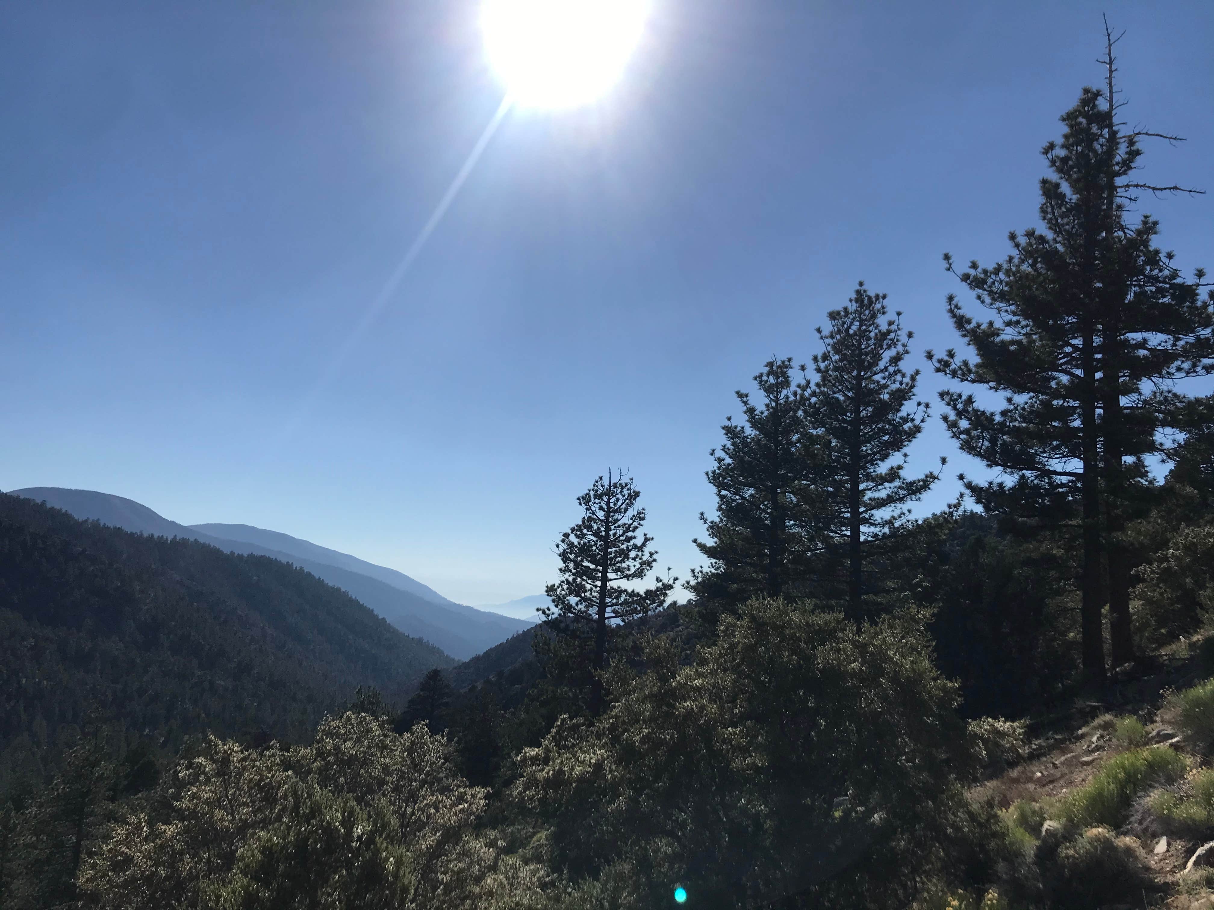 Camper-submitted photo at Coon Creek Cabin Group Campground near Forest Falls, CA