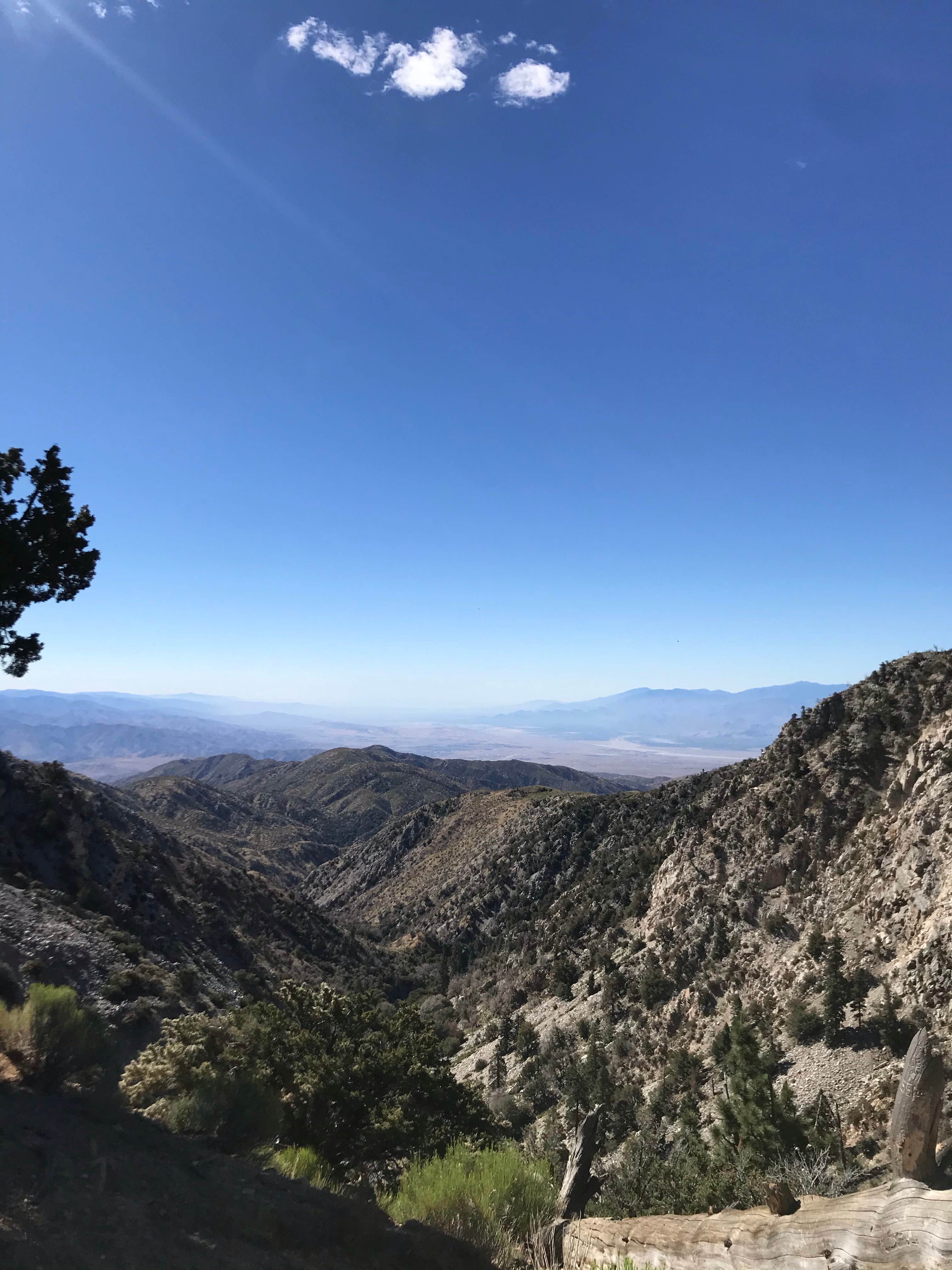 Camping near Juniper Springs Group Campground: Coon Creek Cabin Group Campground, Big Bear City, California