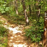 Review photo of Pine Point Primitive Campground — Table Rock State Park by Myron C., July 22, 2020