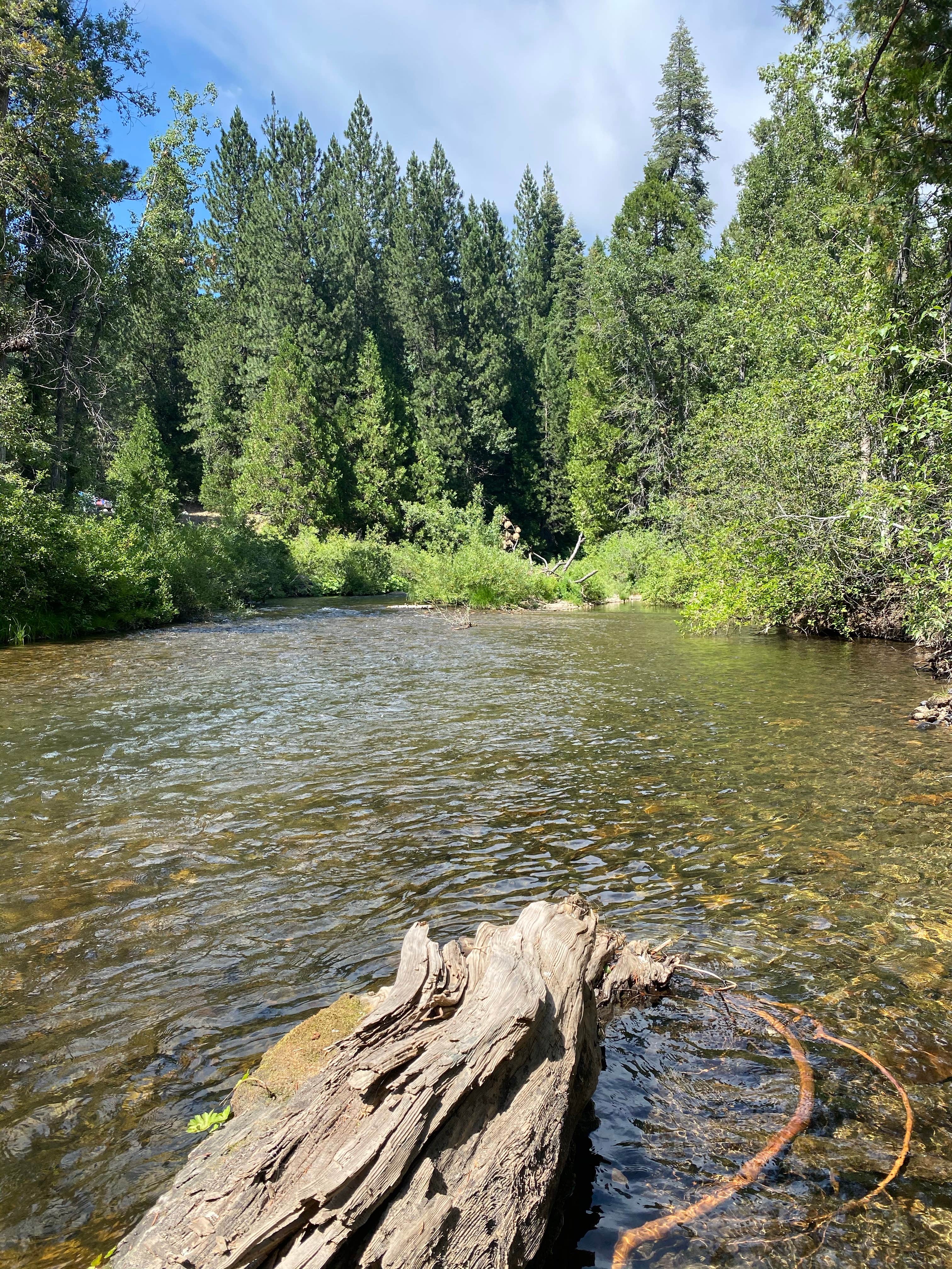 Camper-submitted photo at China Flat Campground near Eldorado National Forest