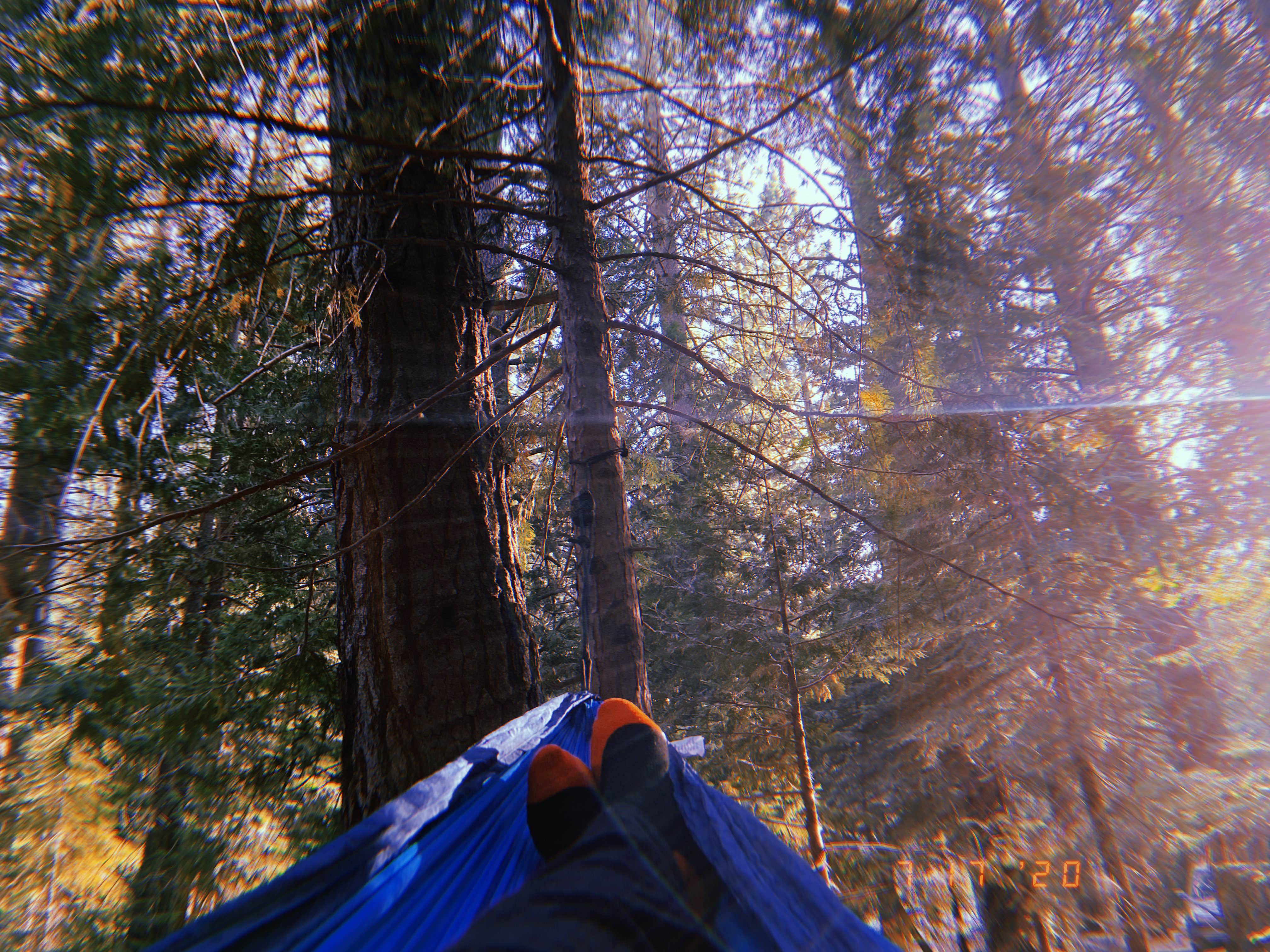 Megan F.'s photo at China Flat Campground near Kyburz, CA