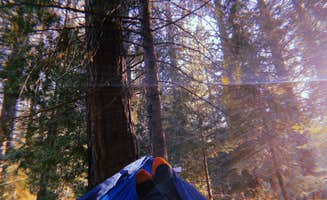 Megan F.'s photo at China Flat Campground near Eldorado National Forest