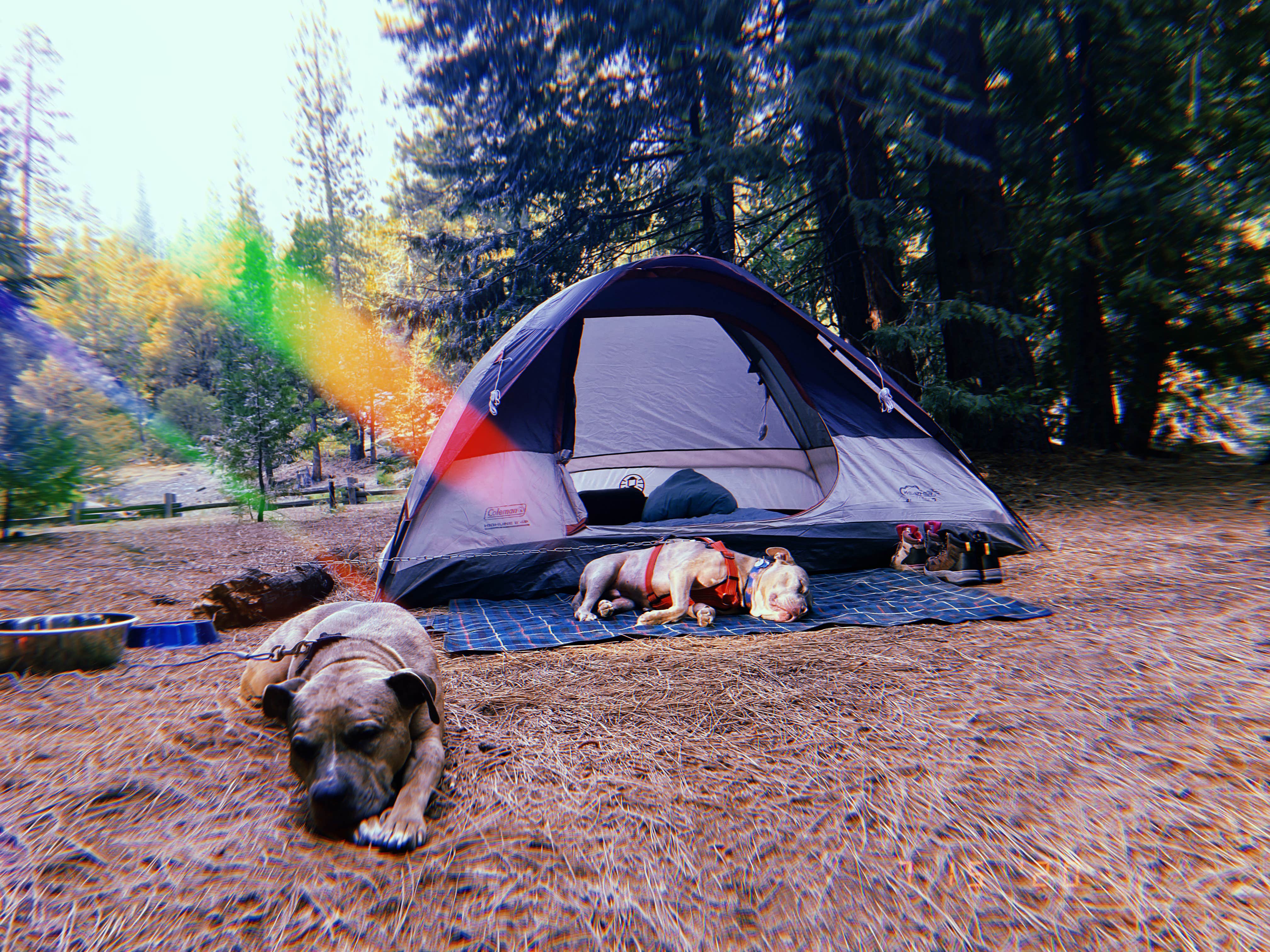 Camper-submitted photo at China Flat Campground near Eldorado National Forest