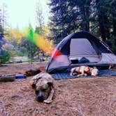 Review photo of China Flat Campground by Megan F., July 22, 2020