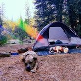 Review photo of China Flat Campground by Megan F., July 22, 2020