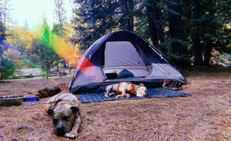 Megan F.'s photo at China Flat Campground near Eldorado National Forest