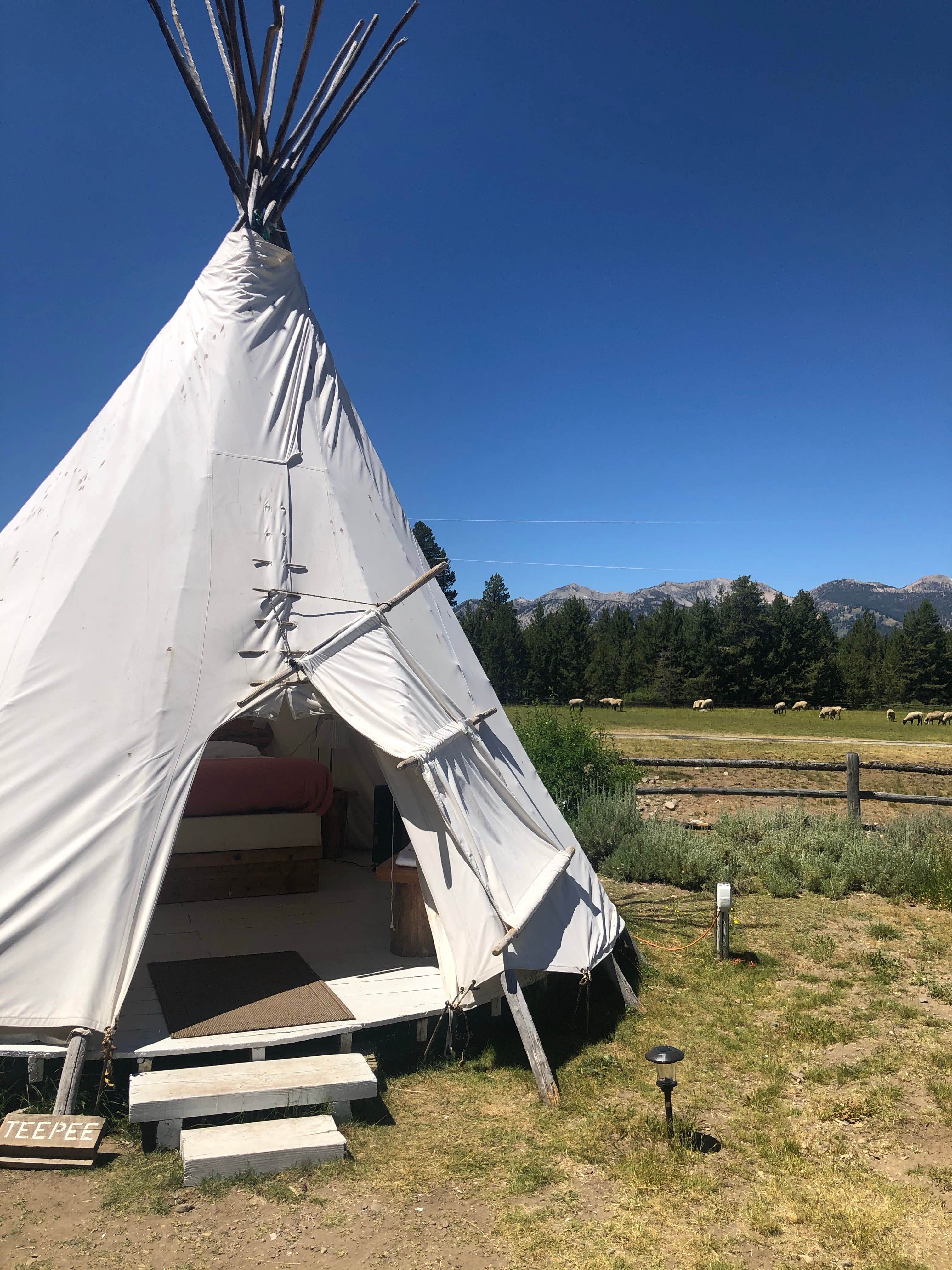 Camper-submitted photo at Smiley Creek Lodge near Clayton, ID