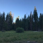 Review photo of Sequoia National Park Dispersed campground by Jessica P., July 22, 2020