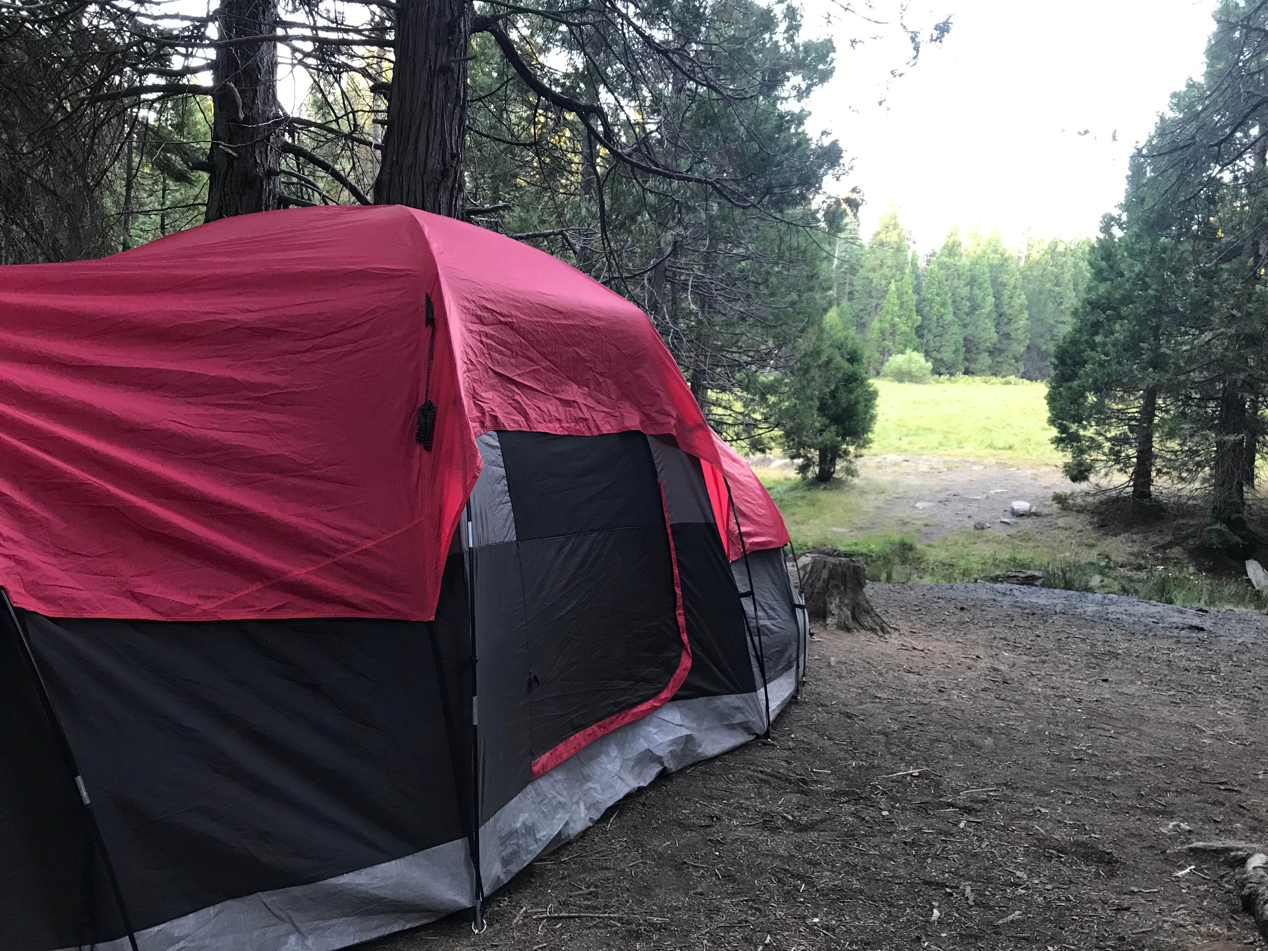 Camper submitted image from Sequoia National Park Dispersed campground - 5