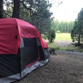 Review photo of Sequoia National Park Dispersed campground by Jessica P., July 22, 2020