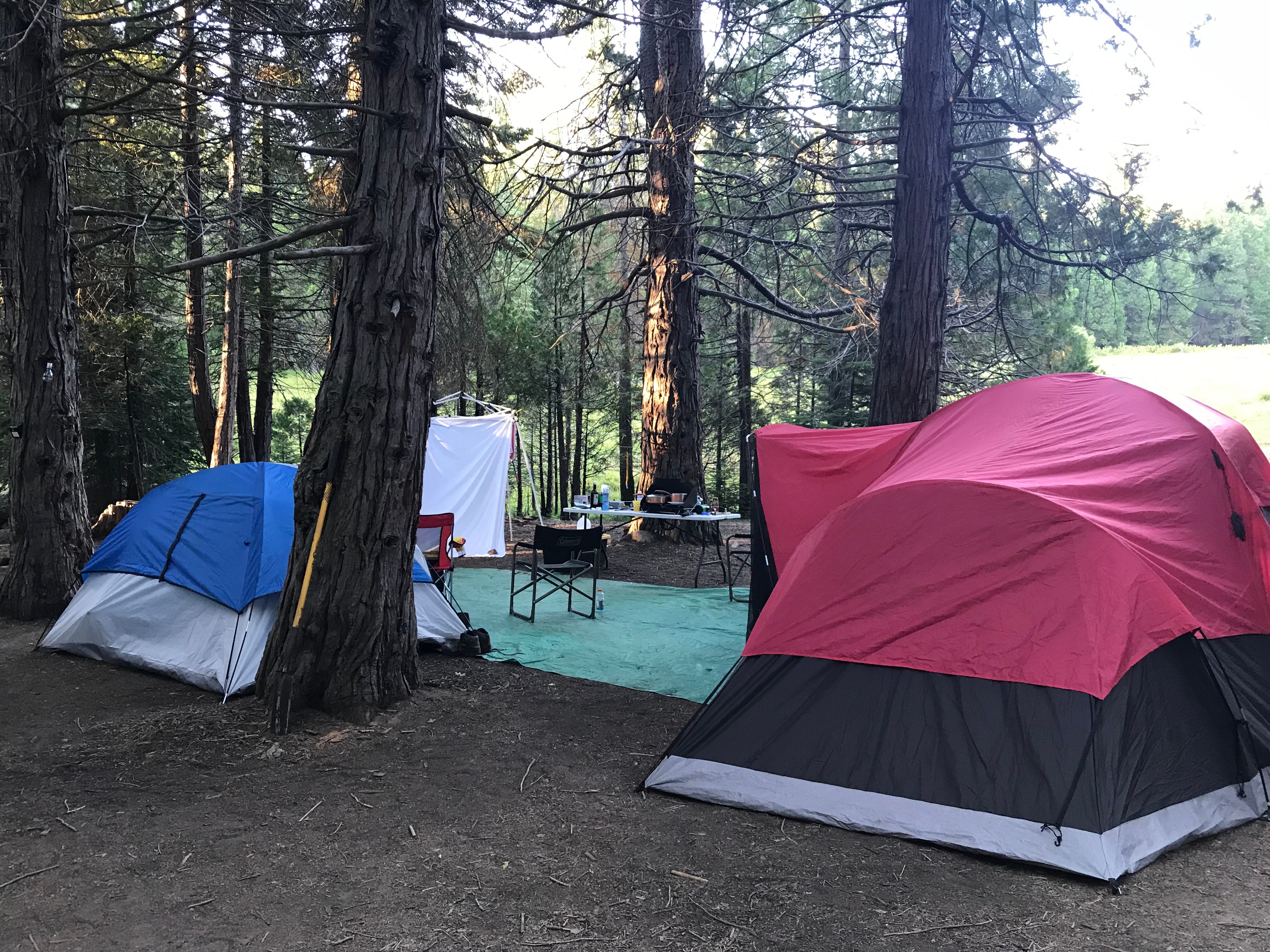 Camper submitted image from Sequoia National Park Dispersed campground  - 3