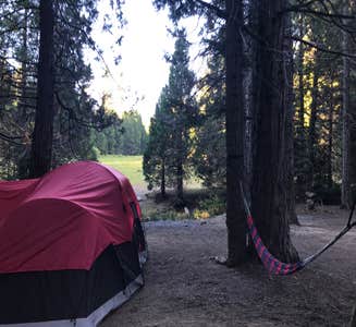 Camper-submitted photo from Sequoia National Park Dispersed campground