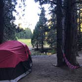 Review photo of Sequoia National Park Dispersed campground by Jessica P., July 22, 2020