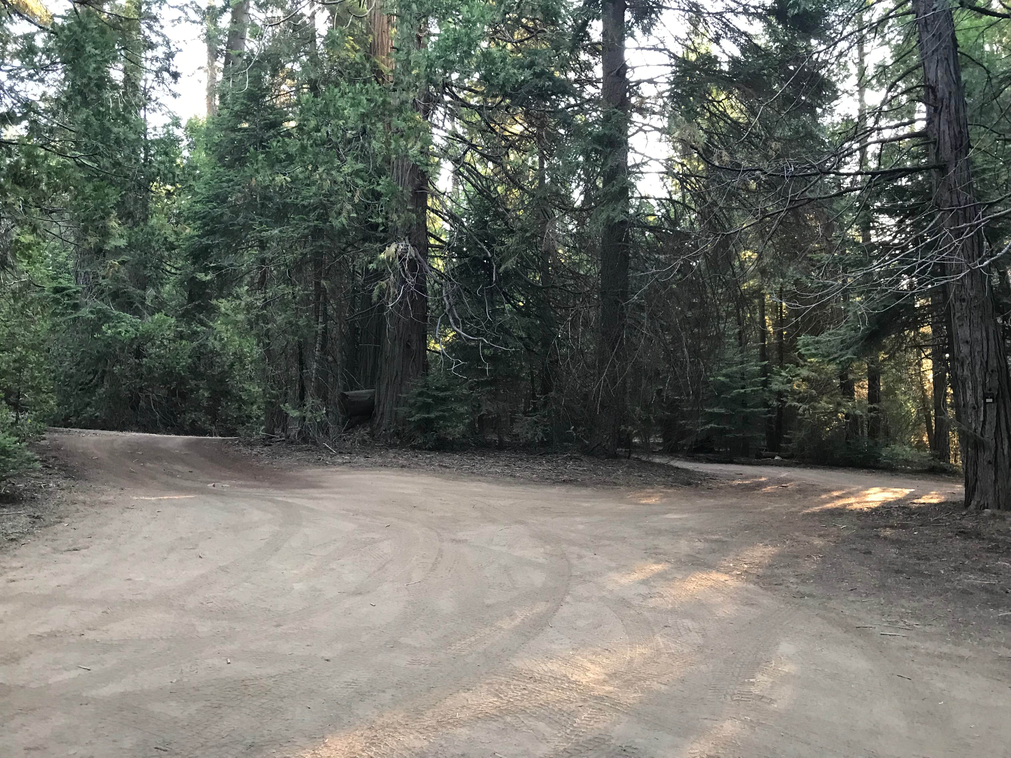 Camper-submitted photo at Sequoia National Park Dispersed campground near Sequoia National Forest