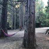 Review photo of Sequoia National Park Dispersed campground by Jessica P., July 22, 2020