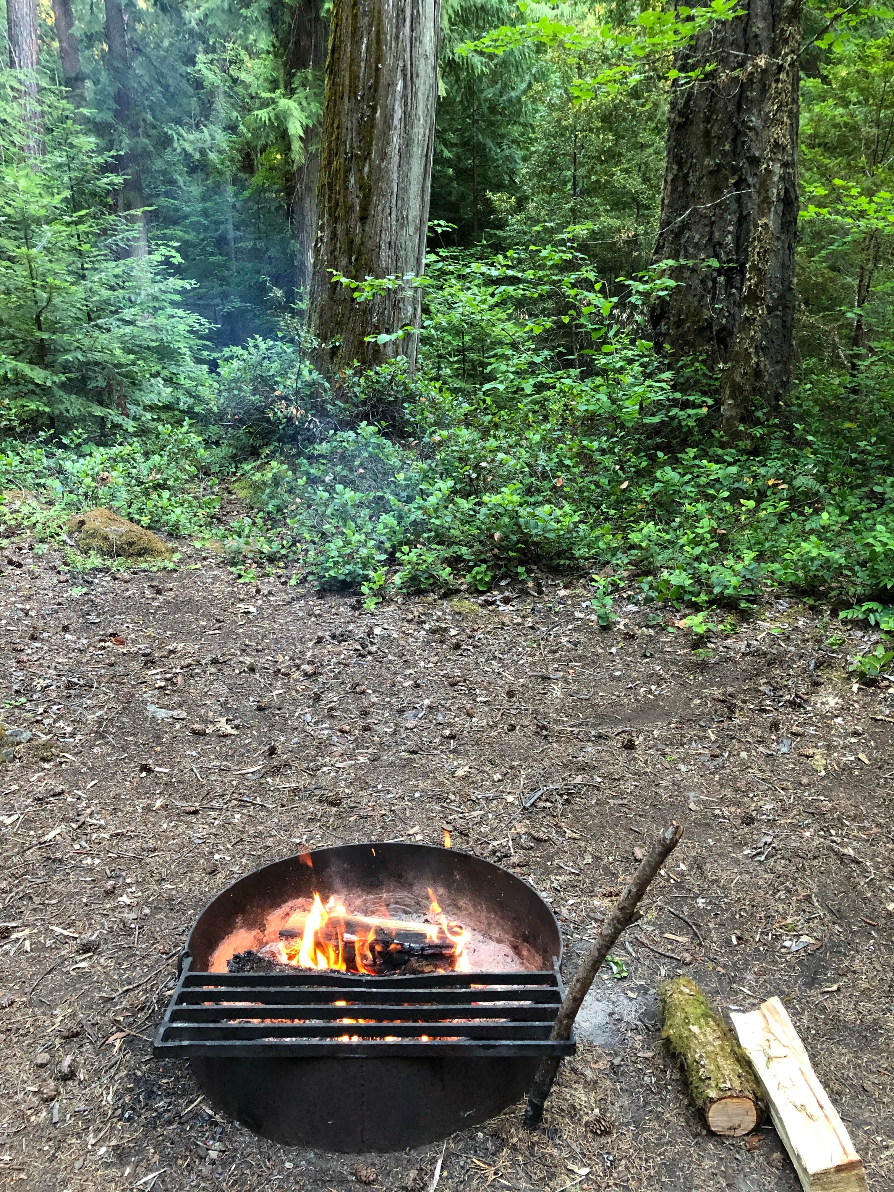 Camper submitted image from Indigo Springs — Willamette National Forest - 5