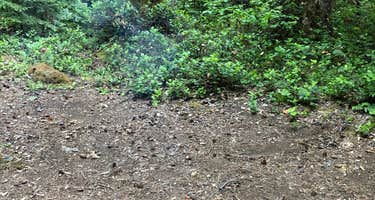 Indigo Springs Campground