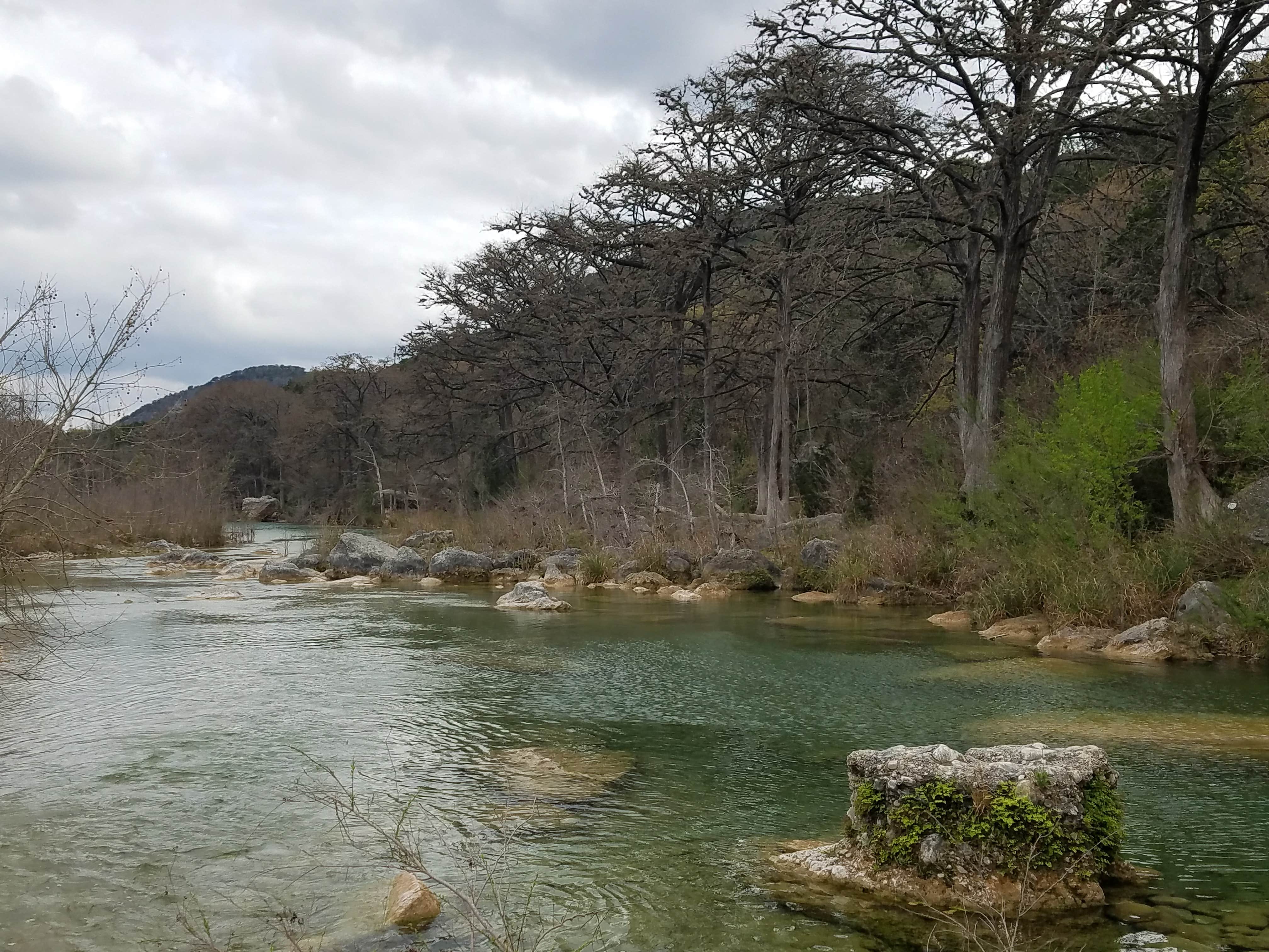 Camper-submitted photo at Shady Meadows — Garner State Park near Vanderpool, TX