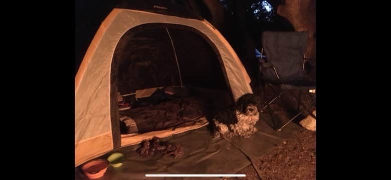 Salem L.'s photo at Crystal Lake Rec Area Campground near Valyermo, CA